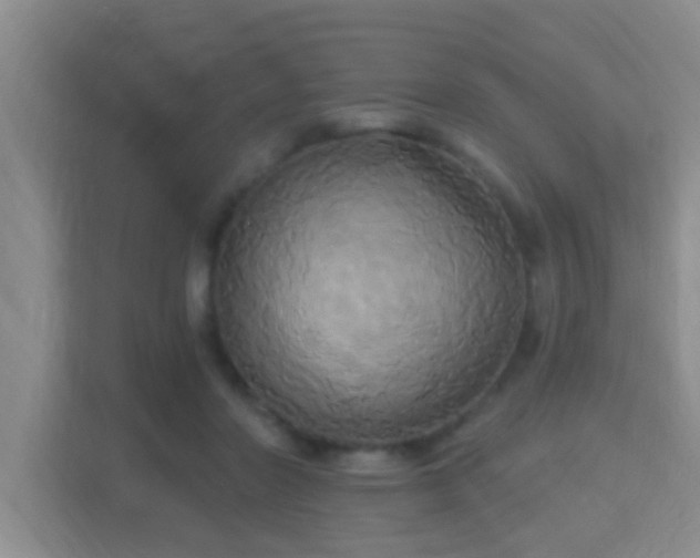 X0000115330406200911091249
