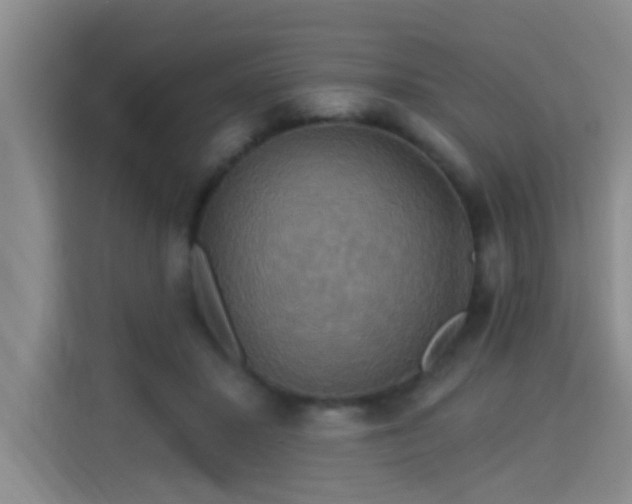 X0000115330407200911091249