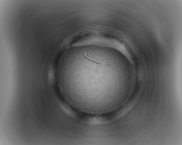 X0000115330408200911091249