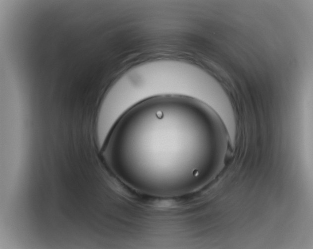 X0000115330409200911091249