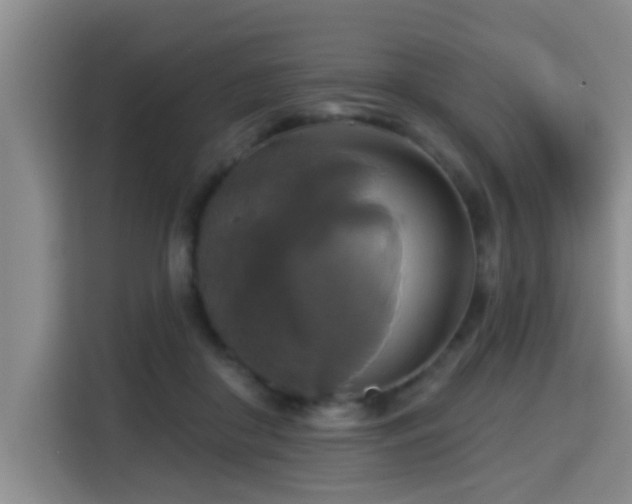 X0000115330410200911091249