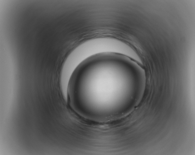 X0000115330411200911091249