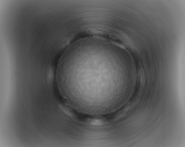 X0000115330412200911091249