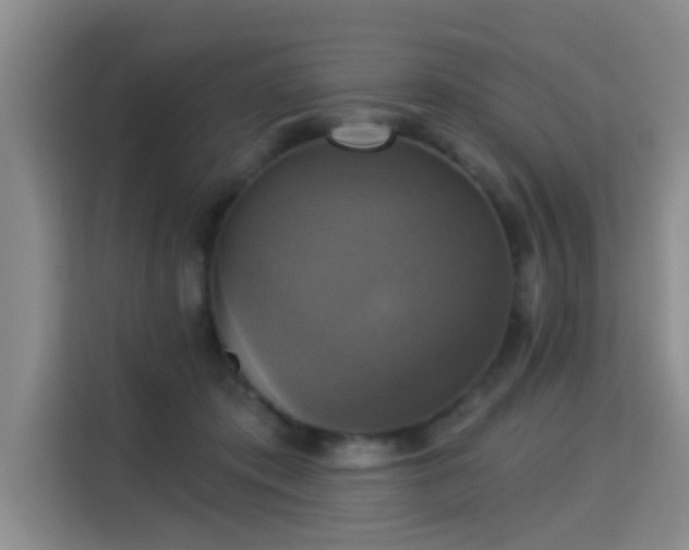 X0000115330413200911091249