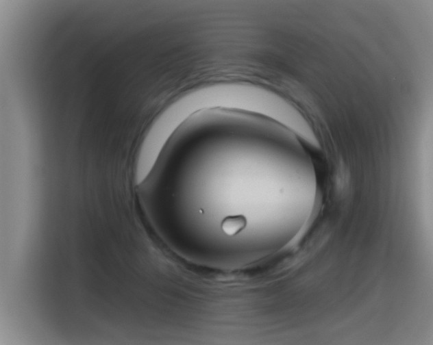 X0000115330415200911091249