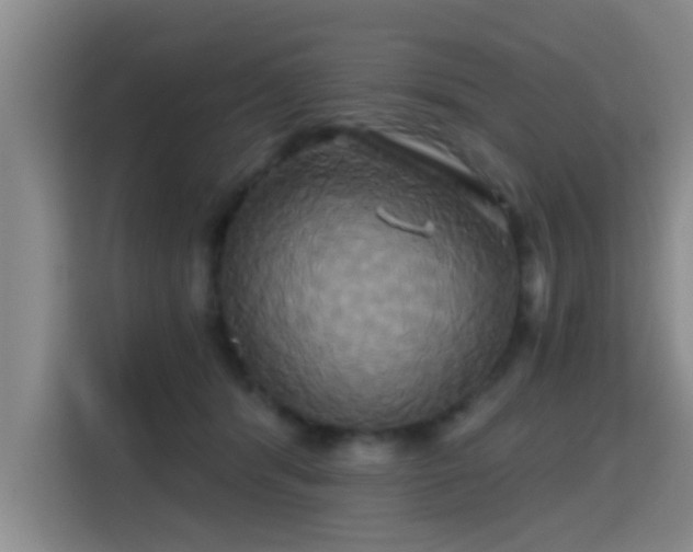 X0000115330416200911091249
