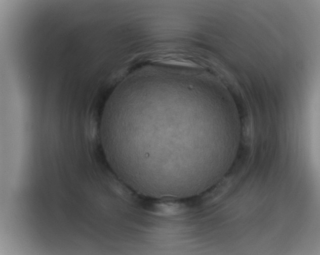X0000115330417200911091249