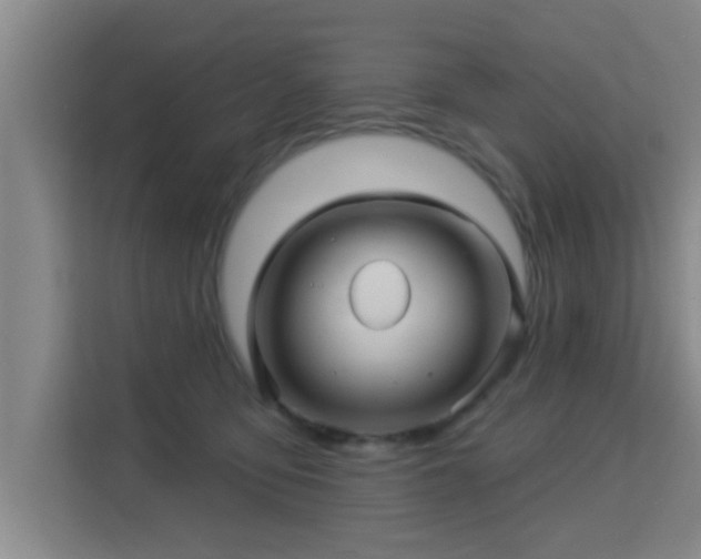 X0000115330419200911091249