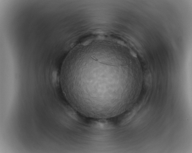 X0000115330420200911091249