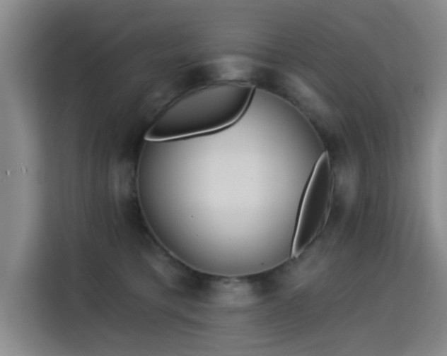 X0000115330421200911091249