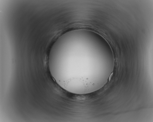 X0000115330423200911091249