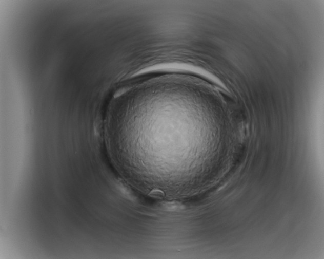 X0000115330424200911091249