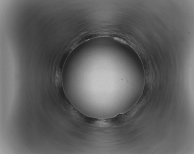 X0000115330425200911091249
