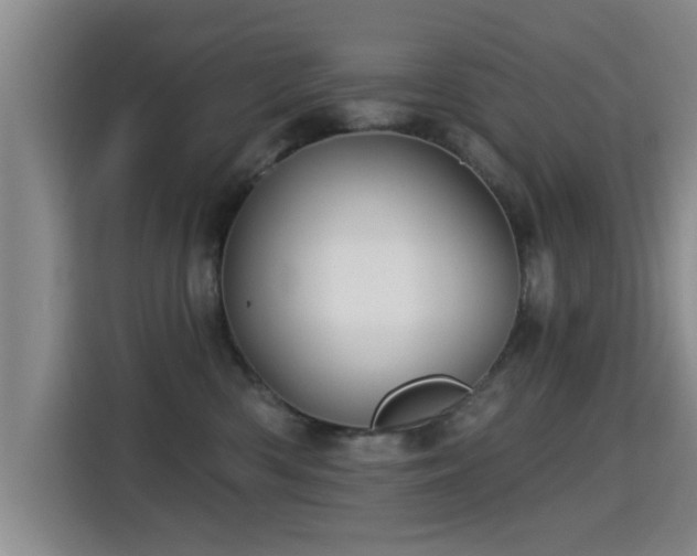 X0000115330426200911091249