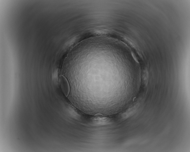 X0000115330428200911091249