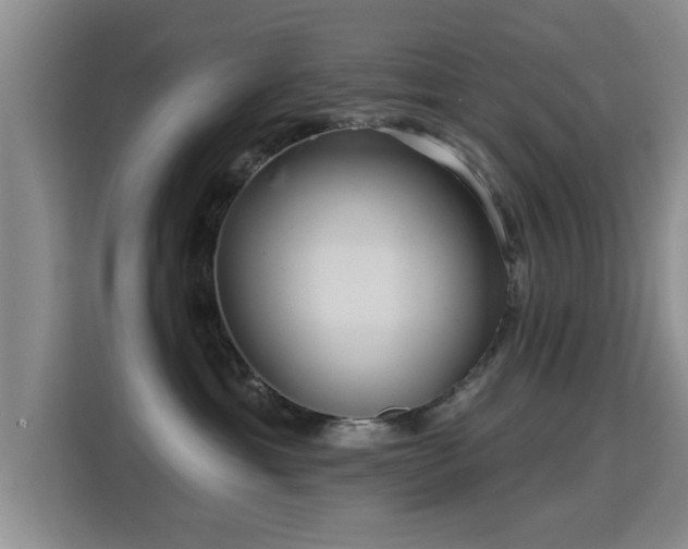 X0000115330429200911091249