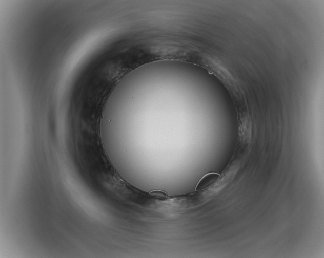 X0000115330430200911091249