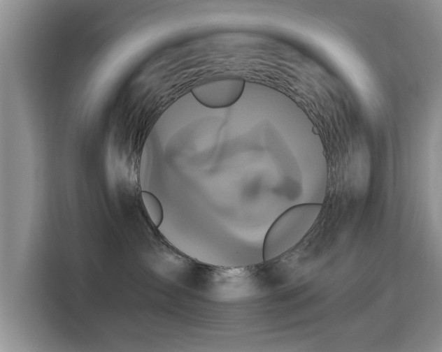 X0000115330431200911091249
