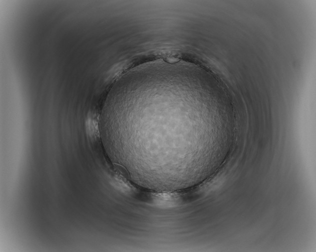 X0000115330432200911091249