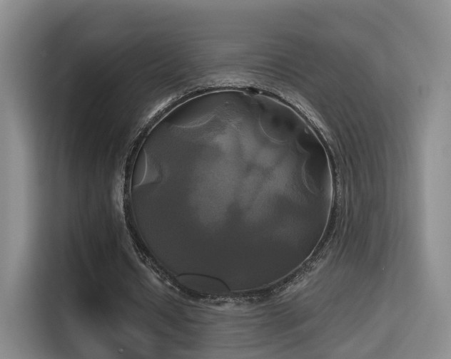 X0000115330434200911091248