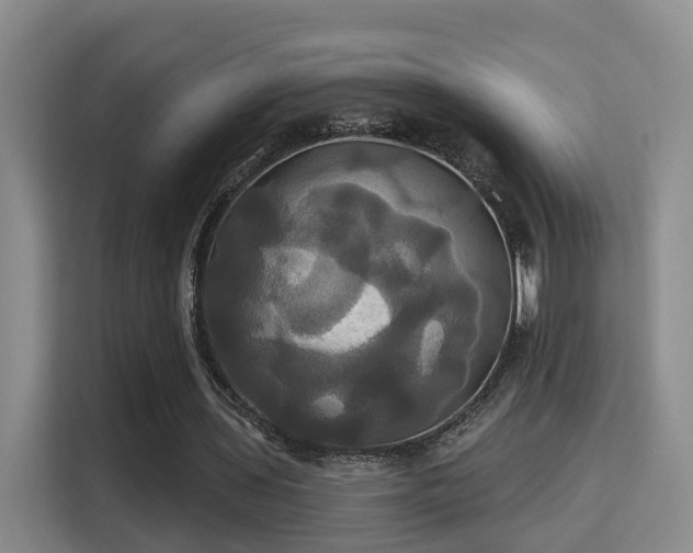X0000115330435200911091248