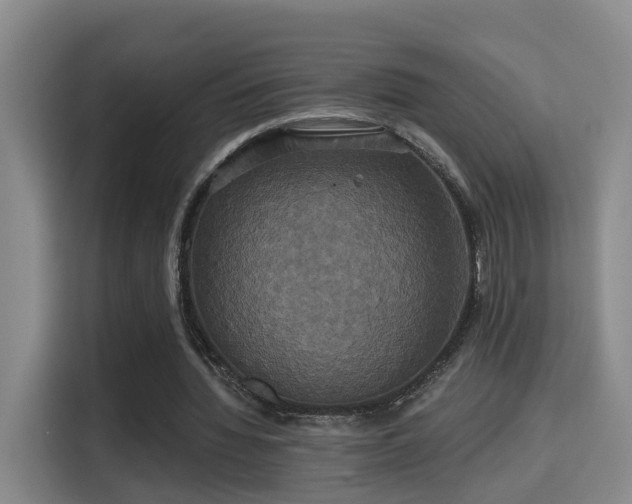 X0000115330436200911091248