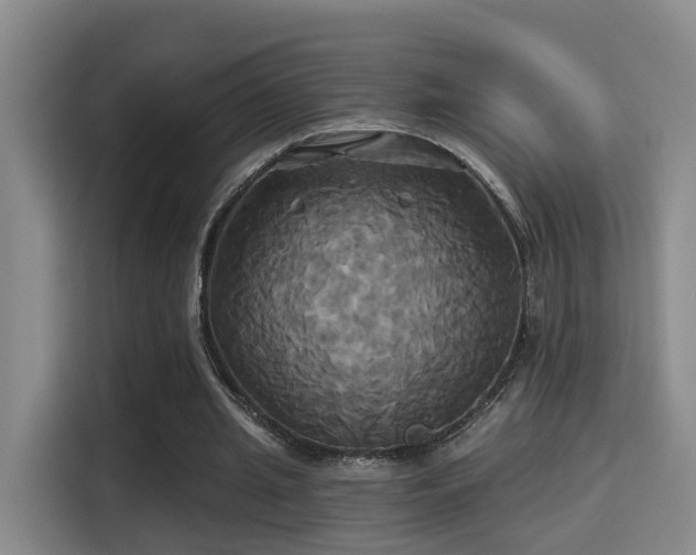 X0000115330437200911091248