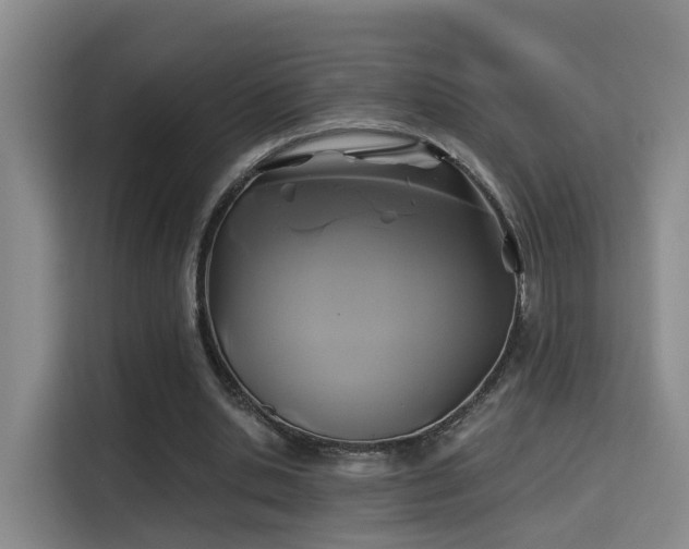 X0000115330438200911091248