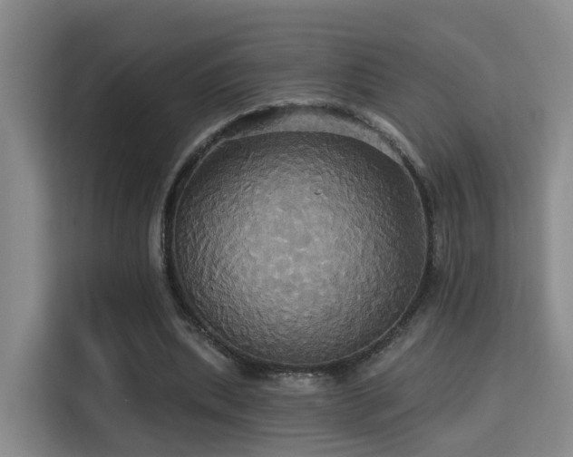 X0000115330439200911091248
