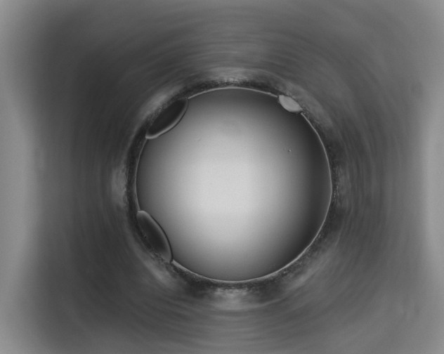 X0000115330440200911091248