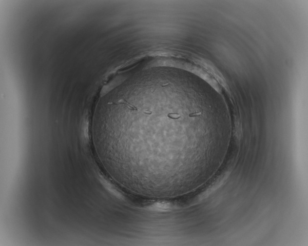 X0000115330441200911091248