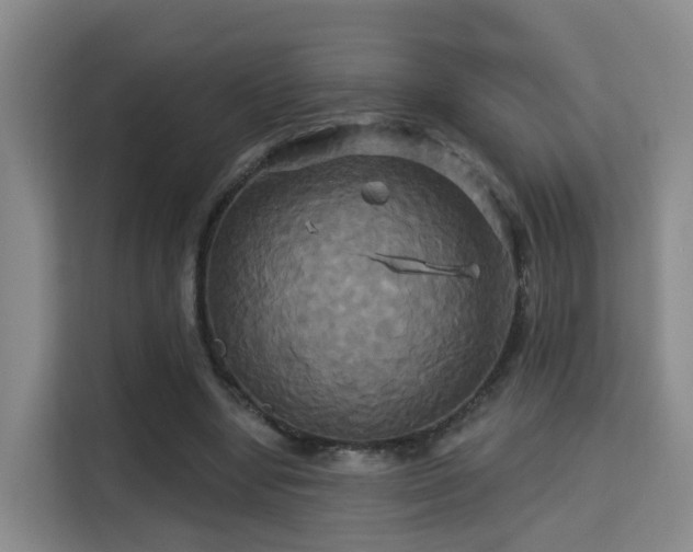 X0000115330442200911091248