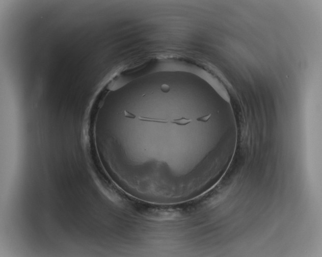 X0000115330443200911091248