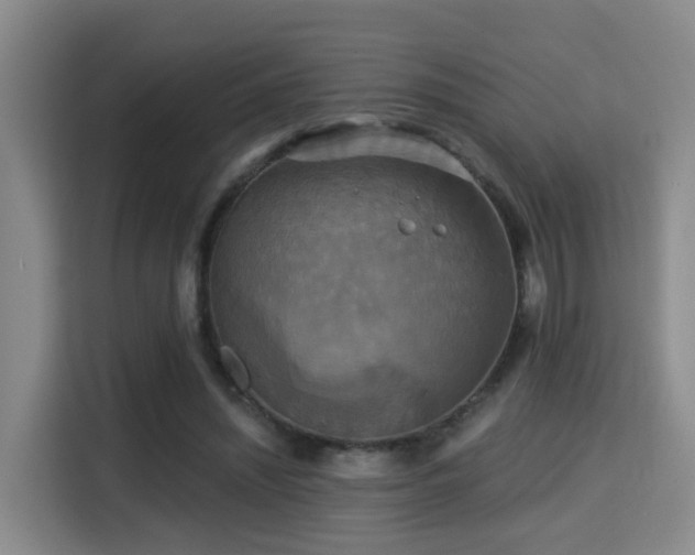 X0000115330444200911091248