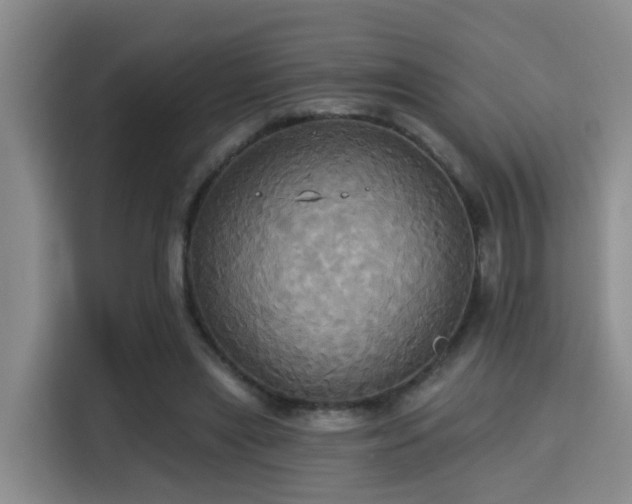 X0000115330445200911091248