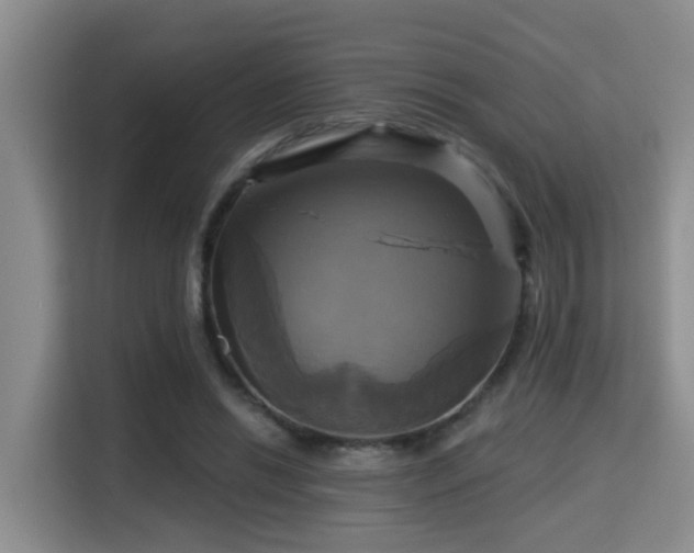 X0000115330446200911091248