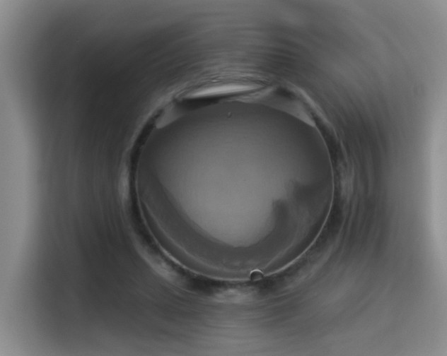 X0000115330447200911091248