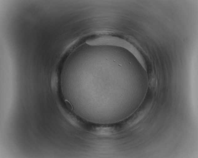 X0000115330448200911091248