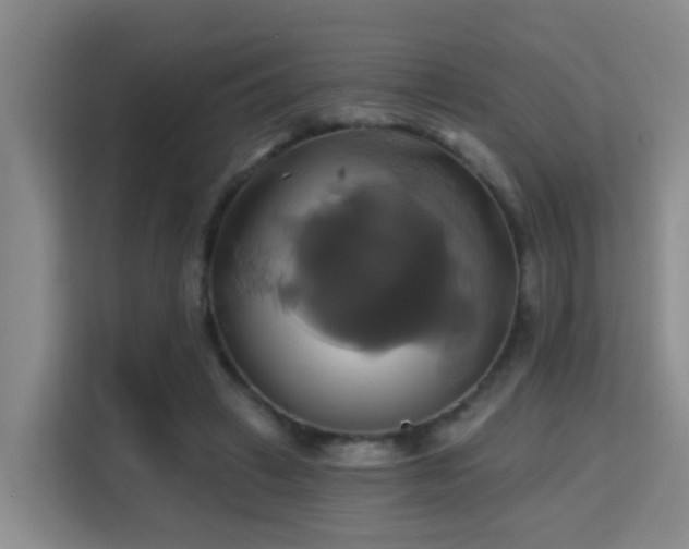 X0000115330449200911091248