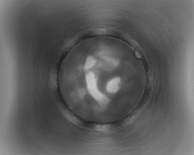 X0000115330450200911091248