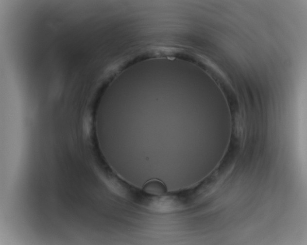 X0000115330451200911091248