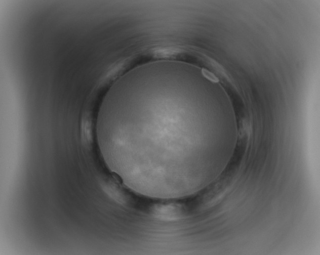 X0000115330452200911091248