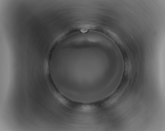 X0000115330453200911091248