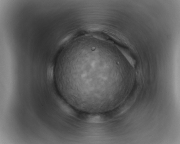 X0000115330454200911091248