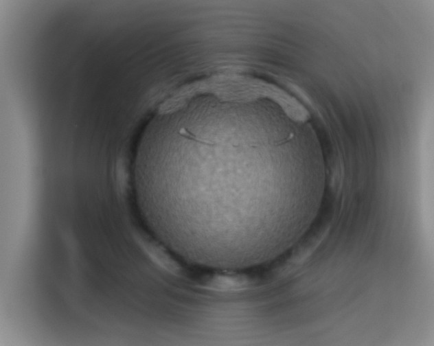 X0000115330455200911091248