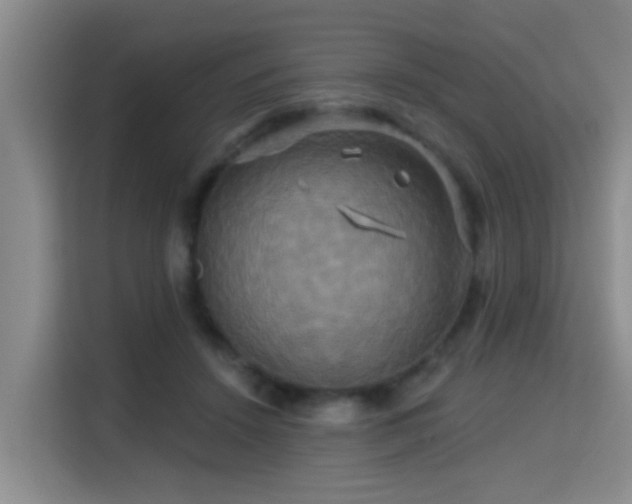 X0000115330456200911091248