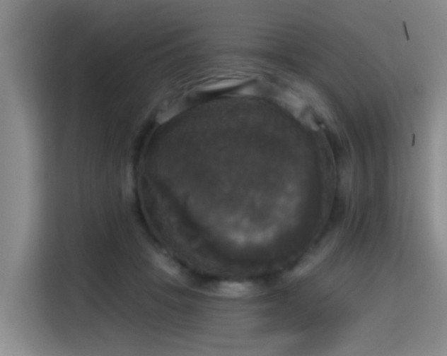 X0000115330457200911091248