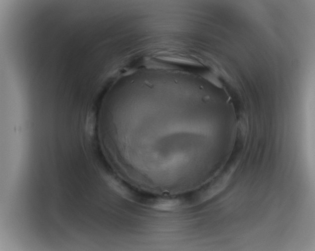 X0000115330458200911091248