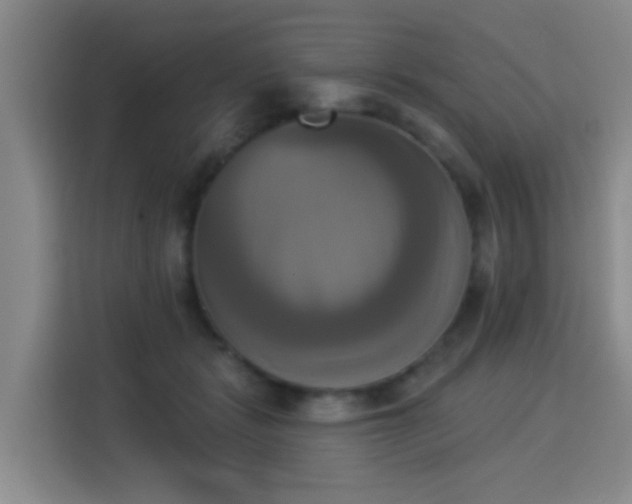 X0000115330461200911091248