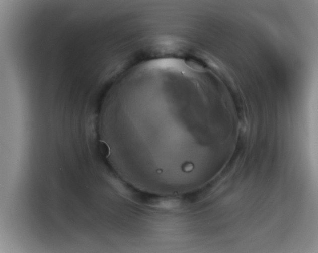 X0000115330462200911091248